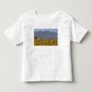 Recherche de route rurale Montagne