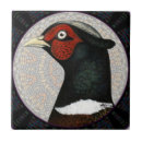 Recherche de volaille carreaux Oiseau
