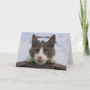 Recherche de chat pâques cartes Amusant