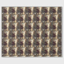 Recherche de skateboard papier cadeau Moderne
