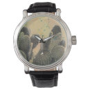Recherche de cactus montres Désert
