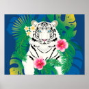 Recherche de tigres blancs posters Gros chats