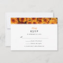 Recherche de chrysanthème Mum
