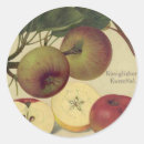 Recherche de pomme vintage autocollants Fruit