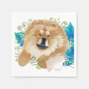 Recherche de papier bouffe Chien