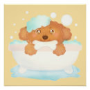 Recherche de toilettage posters Salon de chien