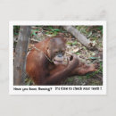 Recherche de nomination cartes postales Dentiste