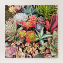 Recherche de succulent puzzles Jardin