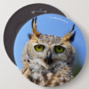 Recherche de yeux de hibou badges Chouette