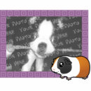 Recherche de animaux familiers photo sculptures Animal familier