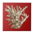 Recherche de récif carreaux Récif de corail