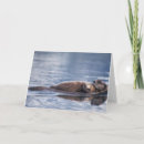 Recherche de mammifère marin vœux cartes Loutre de mer
