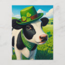 Recherche de vache noire et blanche cartes postales Mignon
