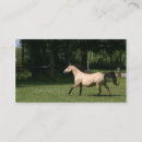 Recherche de peau de daim Animal