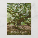 Recherche de fort cartes postales Peinture