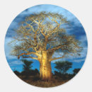 Recherche de images de lune autocollants Horizontal