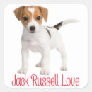 Recherche de jack russell terrier autocollants Chien