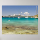Recherche de plongeurs posters Tropical