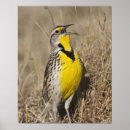 Recherche de longueur posters Jaune