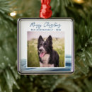 Recherche de border collie ornements Animal de compagnie