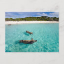 Recherche de natation cartes postales Porc