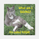 Recherche de de yoga magnets Amour