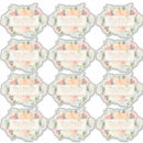 Recherche de rabat autocollants Aquarelle