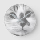 Recherche de black cat horloges Pet