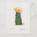 Recherche de ruche vintage cartes postales Illustration