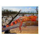 Recherche de lézard posters Animal