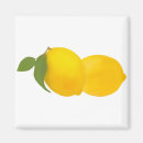 Recherche de jaune et blanc magnets Élégant