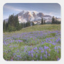 Recherche de mt rainier autocollants Parc national
