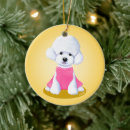 Recherche de bichon frise ornamente Pour tous