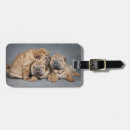 Recherche de shar pei accessoires Mignon