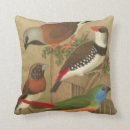 Recherche de oiseau coloré coussins Nature