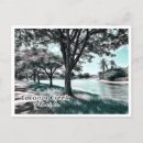 Recherche de coconut cartes postales Floride