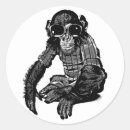 Recherche de singe avec lunettes de soleil Toute personne
