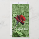 Recherche de beauté vœux cartes Rose