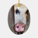 Recherche de porc drôle ornements Mignon