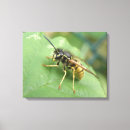 Recherche de macros impressions sur toile Faune