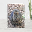 Recherche de marsupial vœux cartes Marsupiaux