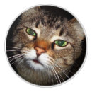 Recherche de tigres boutons et poignées de porte Chat