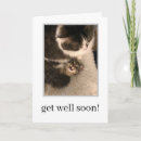 Recherche de chaton vœux cartes Amoureux de les chats
