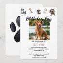 Recherche de drôle de chien invitations Pour animaux