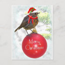 Recherche de oiseaux de noël cartes postales Robin