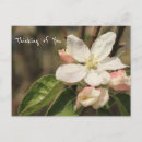 Recherche de esprit photographie Photographie de la nature
