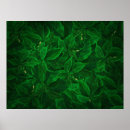 Recherche de croquant posters Vert