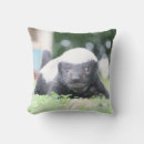 Recherche de blaireau coussins Nature