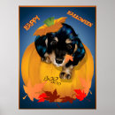 Recherche de chien de teckel posters Vacances