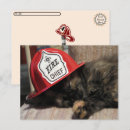 Recherche de transfert cartes postales Chat